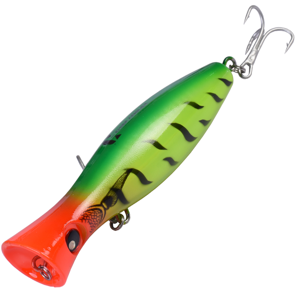Blowies Sea Tiger